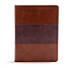 CSB Apologetics Study Bible, Mahogany LeatherTouch, Indexed