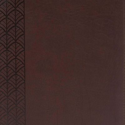 The CSB Study Bible For Women, Chocolate LeatherTouch, Indexed