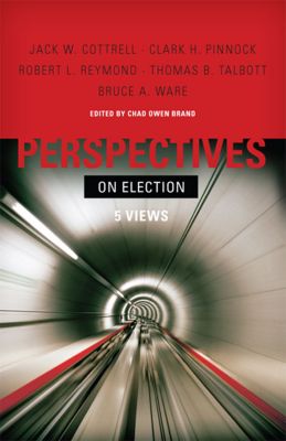 Perspectives on Election