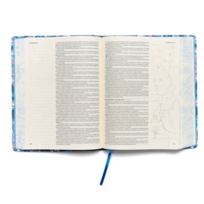 RVR 1960 Biblia de apuntes, edición ilustrada, tela en rosado y azul