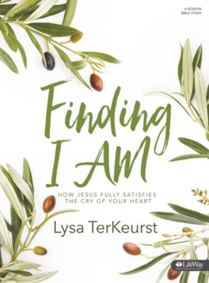 Image result for finding i am lysa terkeurst