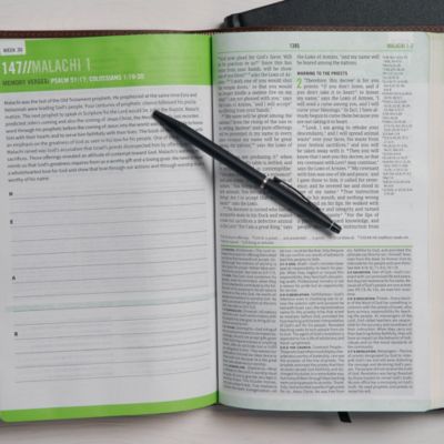 CSB Disciple's Study Bible, Brown/Tan LeatherTouch