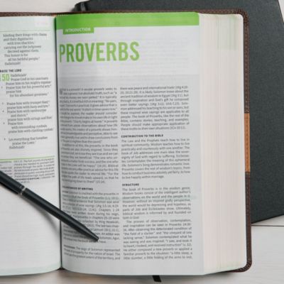 CSB Disciple's Study Bible, Brown/Tan LeatherTouch