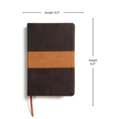 CSB Disciple's Study Bible, Brown/Tan LeatherTouch