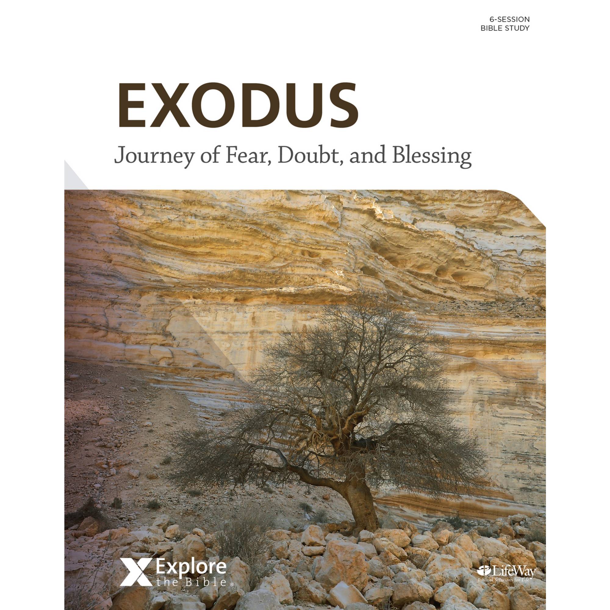 Exodus 6 hotsell study guide