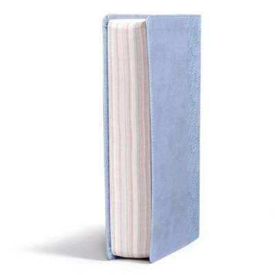 CSB (in)courage Devotional Bible, Blue LeatherTouch
