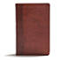 CSB Everyday Study Bible, British Tan LeatherTouch