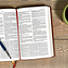 KJV Everyday Study Bible, British Tan LeatherTouch