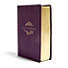 NLT Life Application Study Bible, Third Edition, Simulated Leather, Purple
