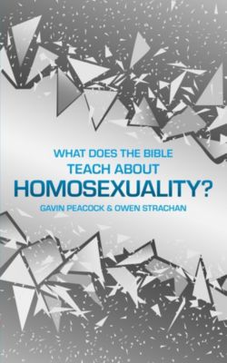 What Does The Bible Teach About Homosexuality Lifeway