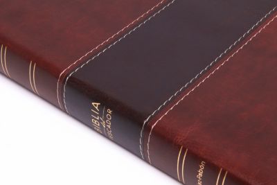 RVR 1960 Biblia del Pescador letra grande, caoba símil piel