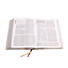 RVR 1960 Biblia de estudio Spurgeon, marrón claro, tela