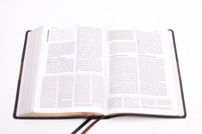 RVR 1960 Biblia de estudio Spurgeon, negro/marrón símil piel
