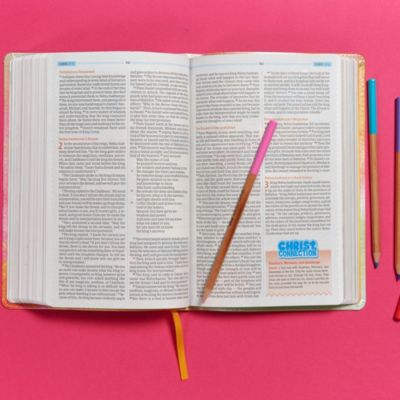 CSB One Big Story Bible, Rainbow Dust