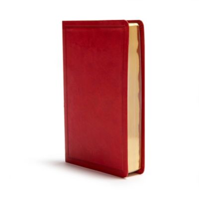CSB Deluxe Gift Bible, Burgundy LeatherTouch