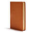 CSB Deluxe Gift Bible, Tan LeatherTouch