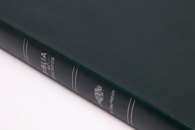 NVI Biblia del Pescador letra grande, verde símil piel