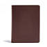 CSB He Reads Truth Bible, Brown Genuine Leather Indexed