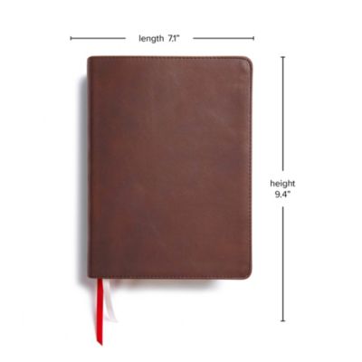 CSB He Reads Truth Bible, Brown Genuine Leather Indexed