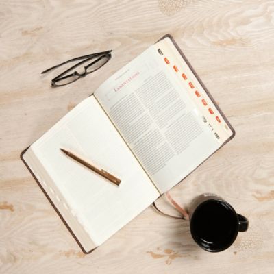 CSB Ancient Faith Study Bible, Tan LeatherTouch, Indexed