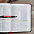 KJV Study Bible, Brown LeatherTouch