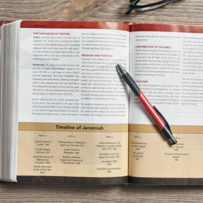 KJV Study Bible, Brown LeatherTouch