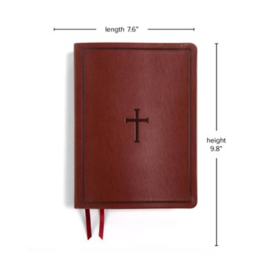 KJV Study Bible, Brown LeatherTouch