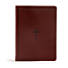 KJV Study Bible, Brown LeatherTouch, Indexed