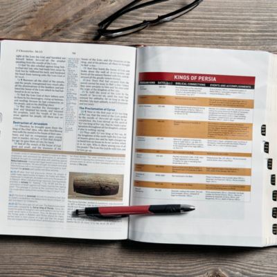 KJV Study Bible, Brown LeatherTouch, Indexed