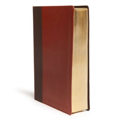 CSB Life Essentials Interactive Study Bible, Brown LeatherTouch