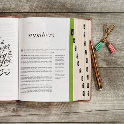 CSB She Reads Truth Bible, Rose Gold LeatherTouch, Indexed