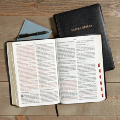 RVR 1960 Biblia letra súper gigante, negro imitación piel con índice