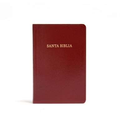RVR 1960 Biblia letra grande tamaño manual, borgoña imitación piel