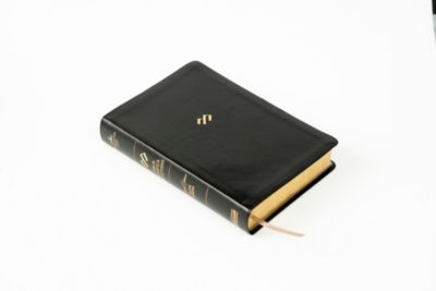 RVR 1960 Biblia temática de estudio, negro símil piel