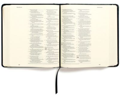 ESV Journaling Bible (Black)
