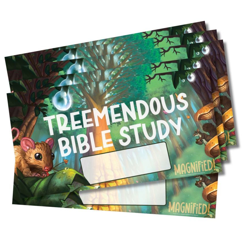 VBS 2025 Bible Study Location Signs (Package of 6) | Lifeway