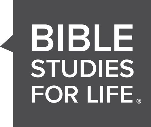 Image result for bible studies for life logo