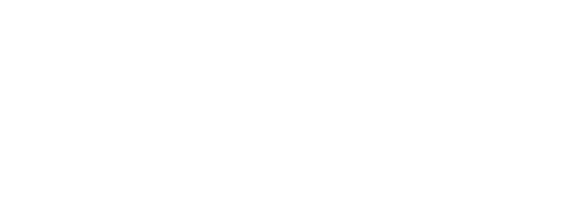 LifeWay Black Friday Sale