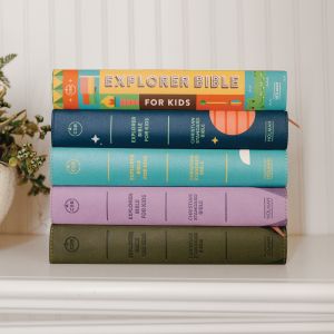 stack of kids Bibles