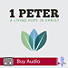 1 Peter - Audio Sessions