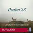 Psalm 23 - Audio Sessions