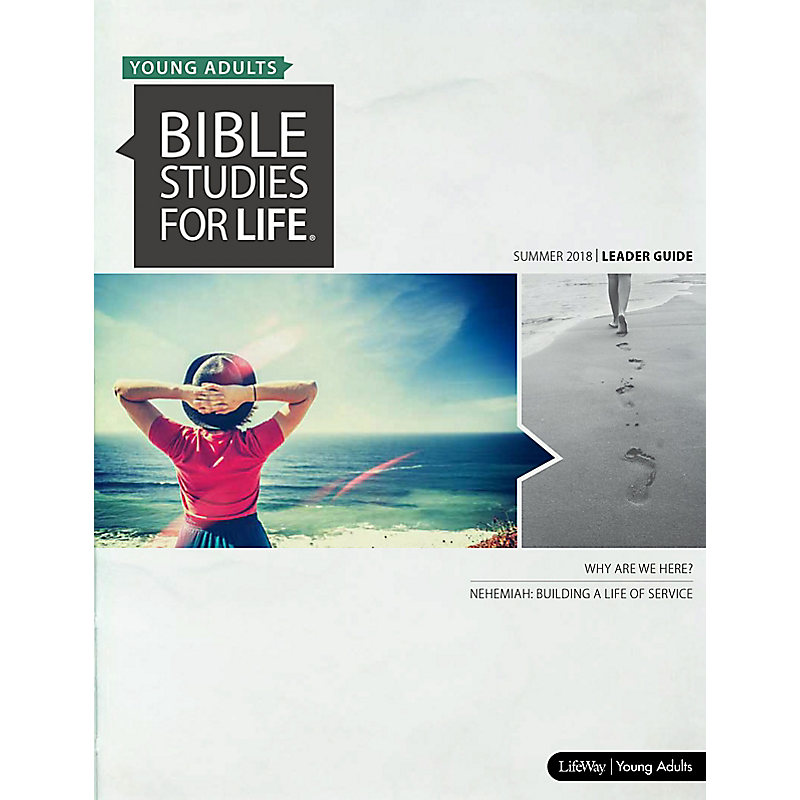 Bible Studies for Life: Young Adult Leader Guide - Summer 2018