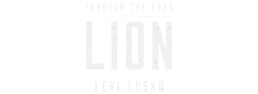 Through the Eyes of the Lion