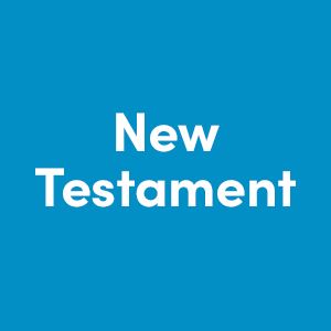 New Testament Commentaries