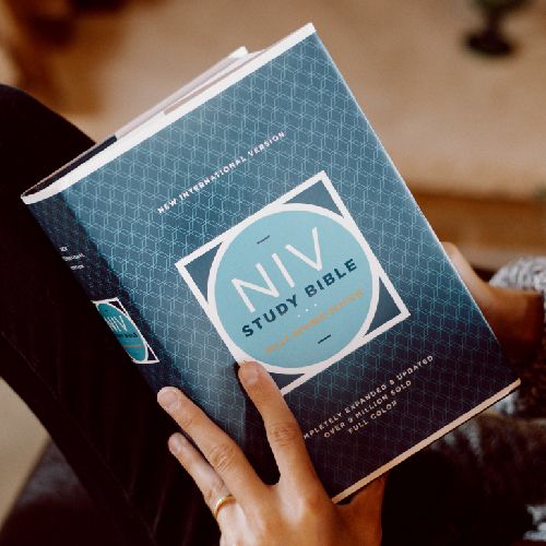 Bible Categories & Types of Bibles Tools to Study the Bible Lifeway