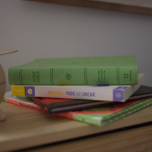 Thinline Bibles