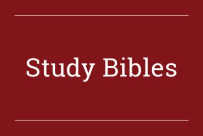 Bibles | Study, Journaling & Bulk | ESV, NIV, KJV & More | LifeWay