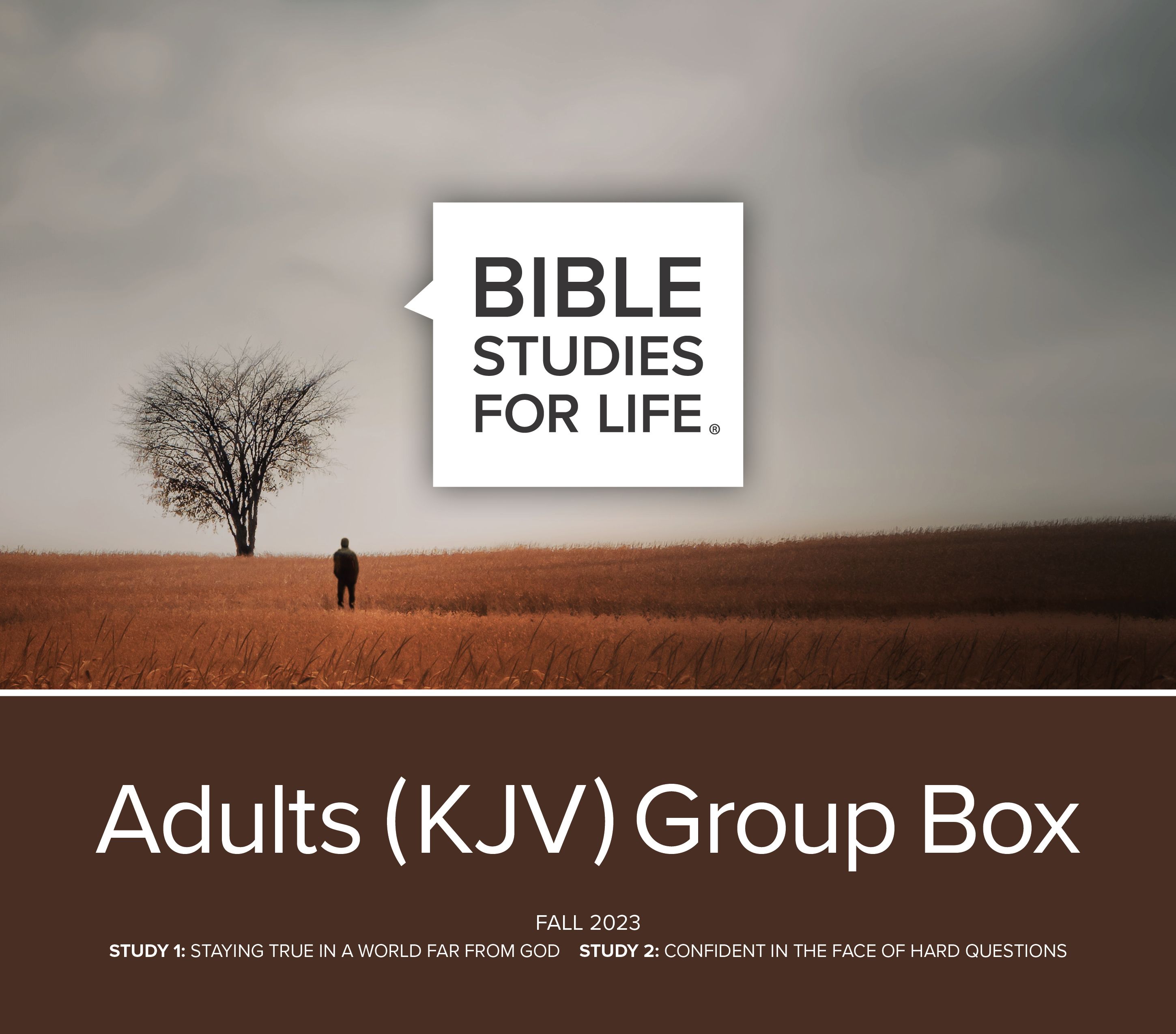 Bible Studies for Life Group Box