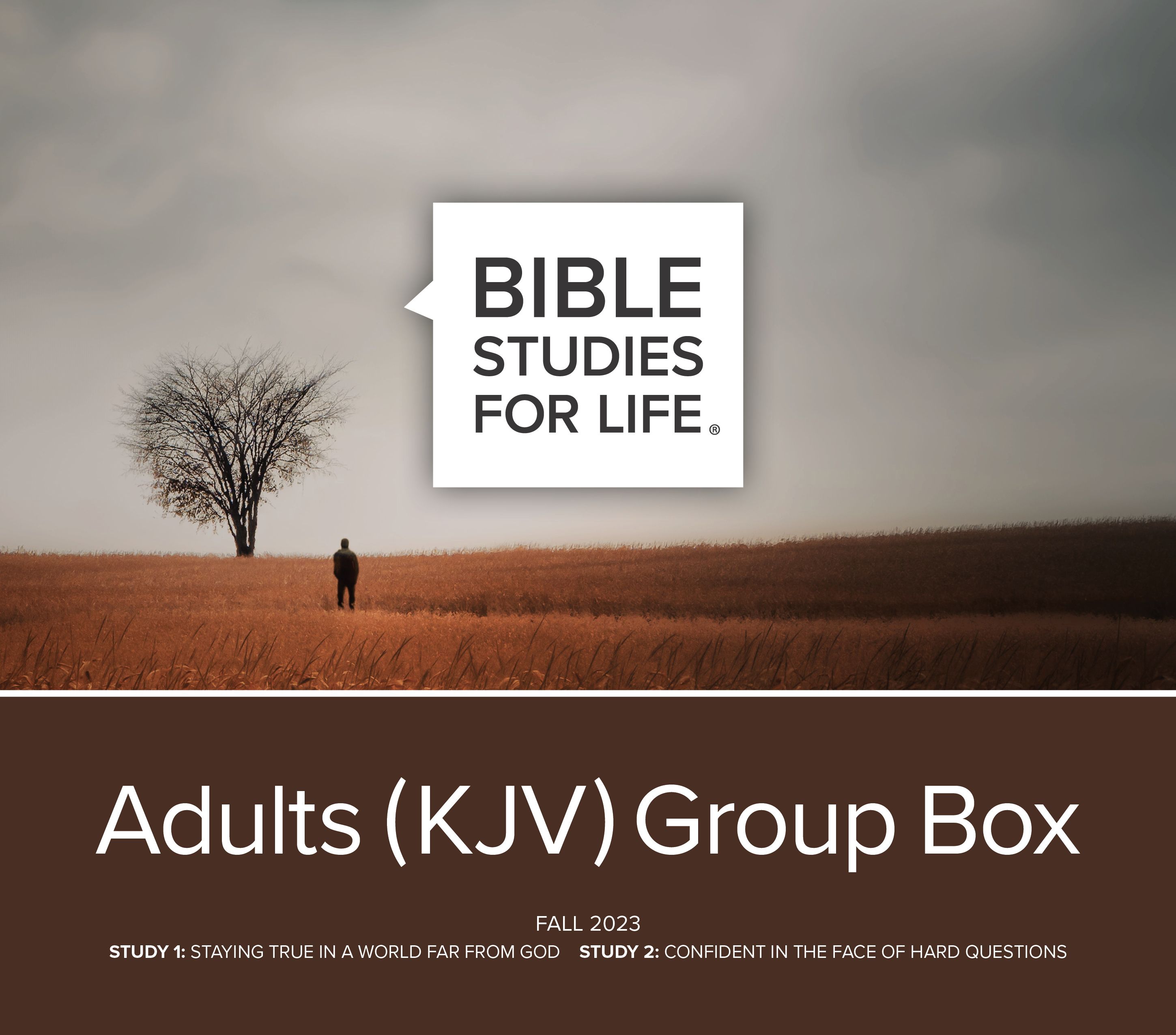 Bible Studies for Life KJV Adult Updates Lifeway