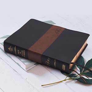 Biblias de Estudio Spurgeon